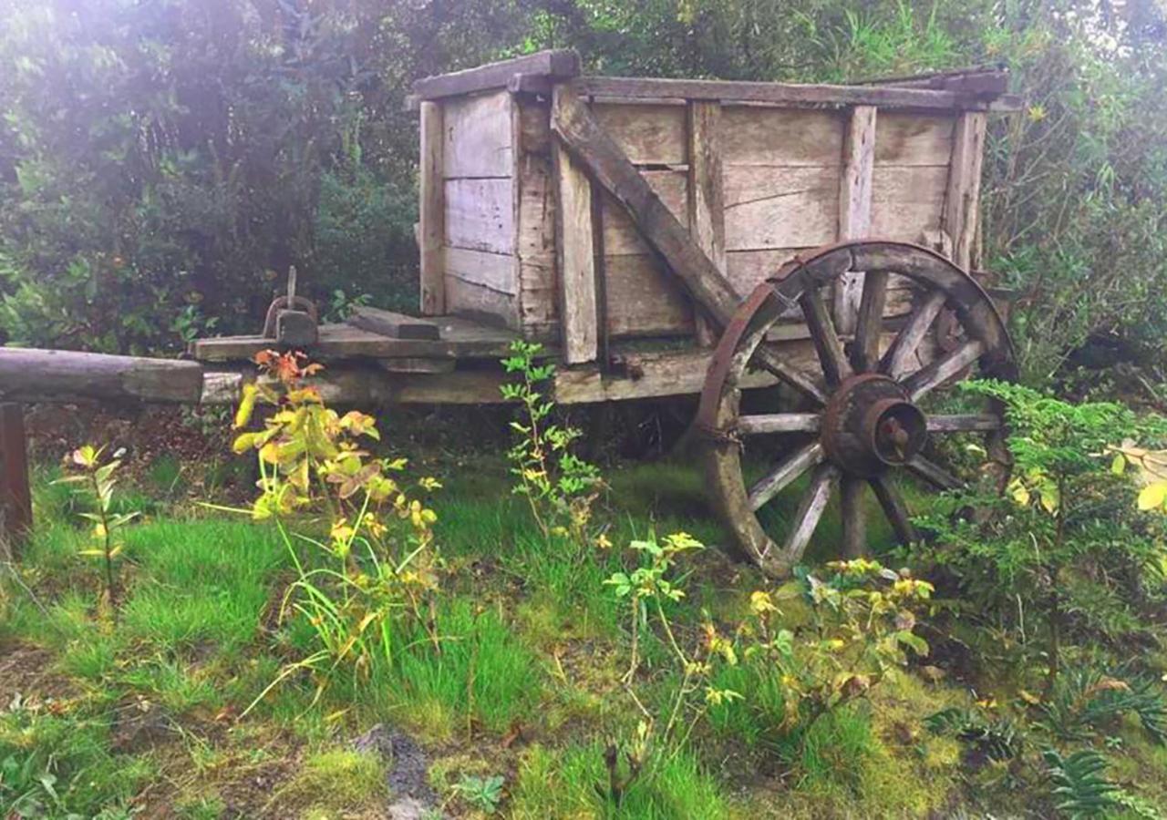 Cabanas Los Cantos Del Chucao Пуерто-Варас Екстер'єр фото